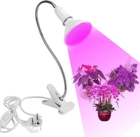 grislampa till växter